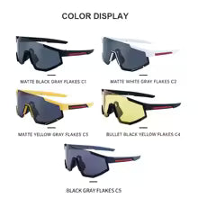 Lunettes de soleil modèle ZS-2316